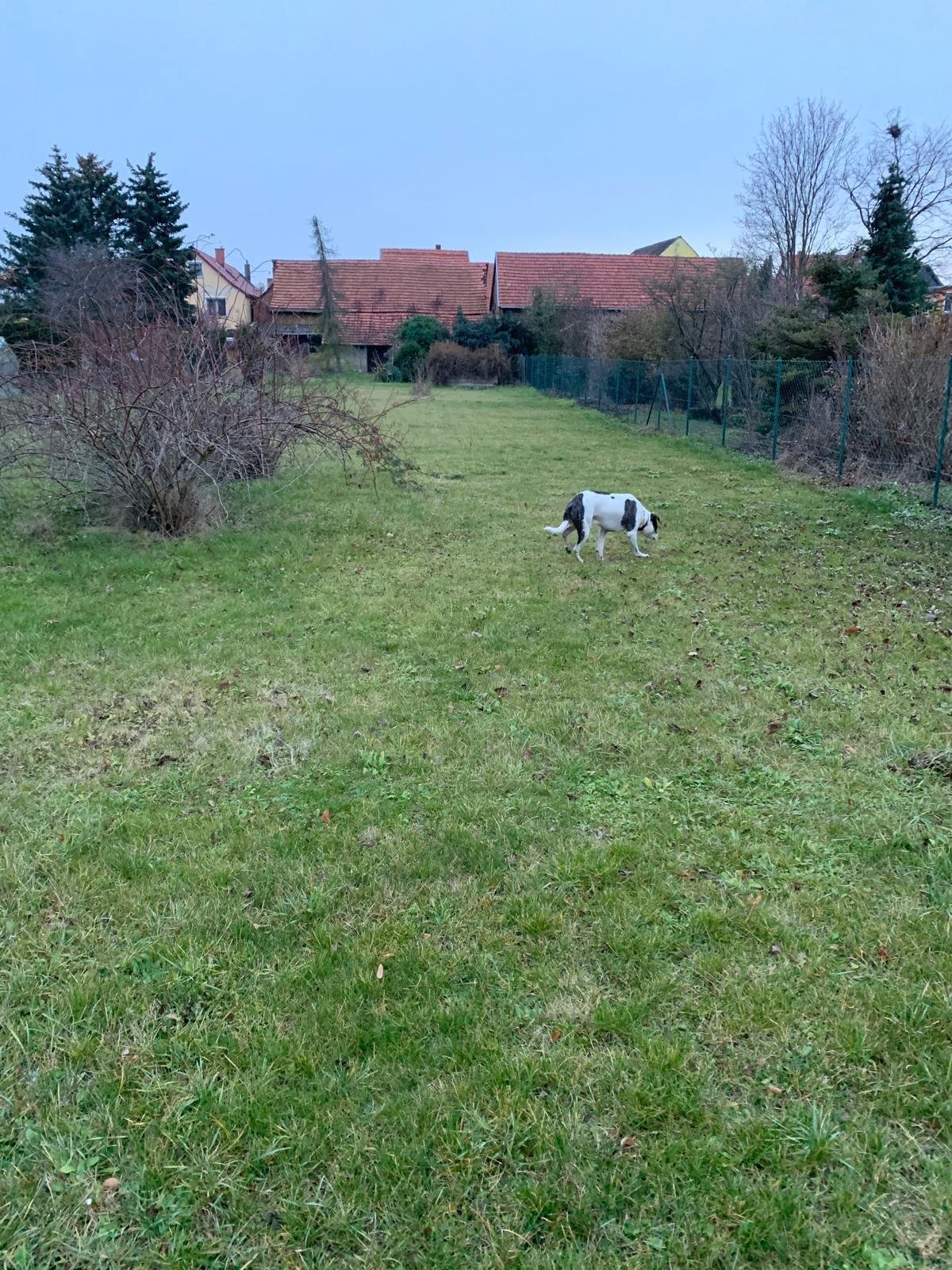 Foto der Immobilie (12484)