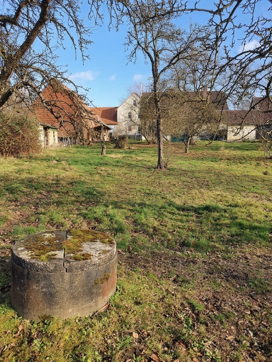 Foto der Immobilie (12876)