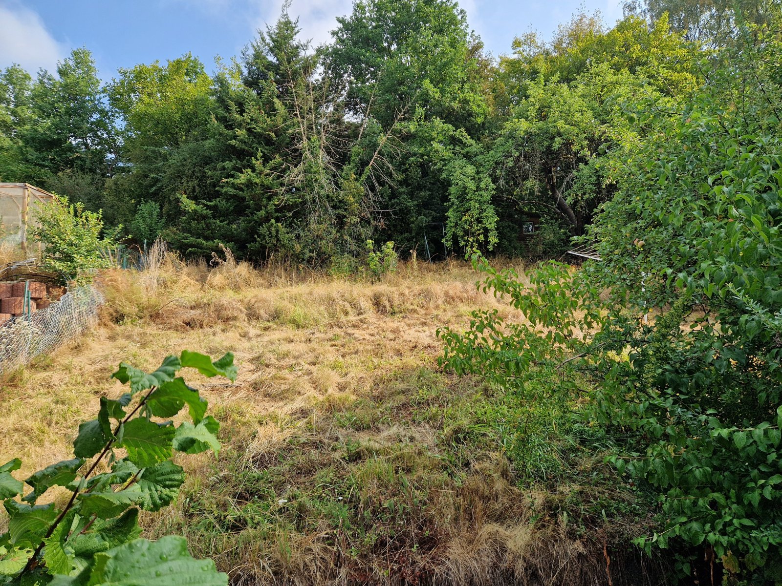 Foto der Immobilie (13081)